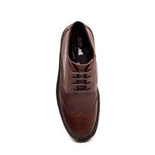 British Walkers Playboy Wingtip Men's Dark Brown Leather