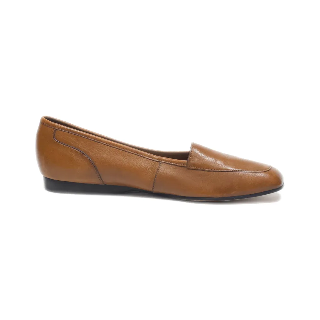 Enzo Angiolini Mules Leather Brown Colour For Women