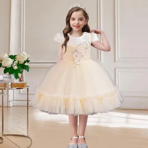 Exquisite Design Girls Dress