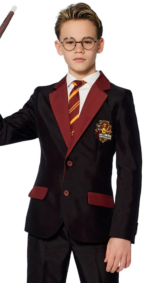 Gryffindor Harry Potter Boys Book Week Costume Suit