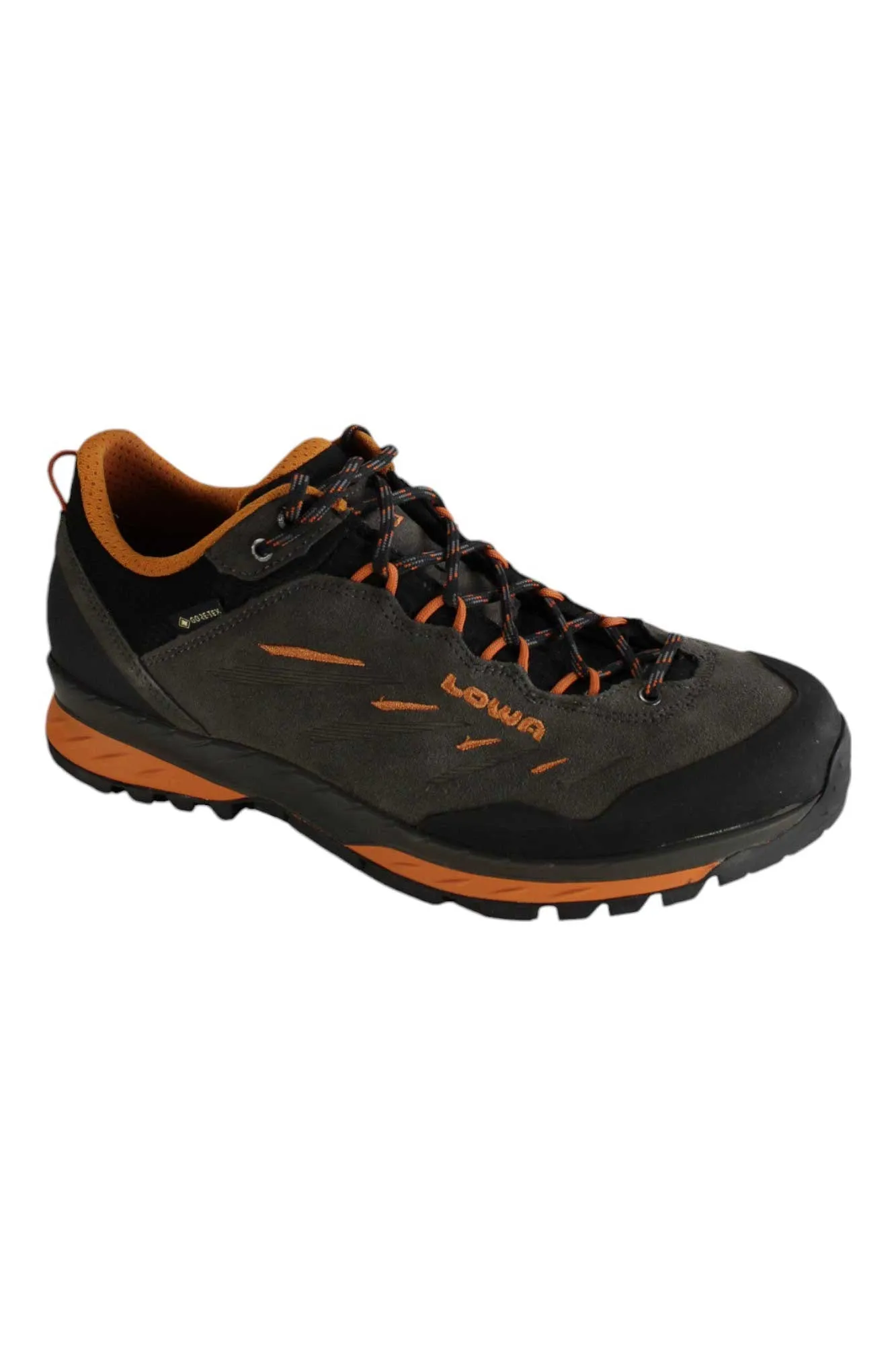 Lowa Men's Delago GTX Lo Shoe