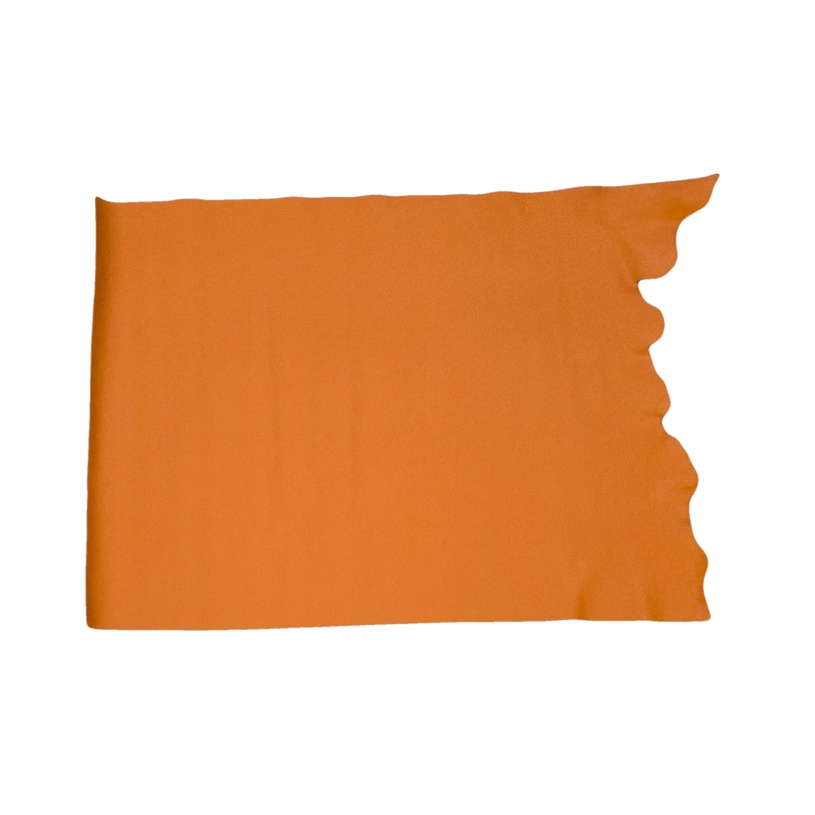 Valencia Orange, 3-4 oz Cow Hides, Tried n True